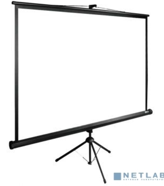 Экран Cactus 180x180 см TriExpert CS-PSTE-180x180-BK 1:1 напольный рулонный
