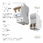 Автоматический выключатель Werkel 2P  10 A  C  6 кА W902P106, фото 1