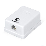  Розетка телефонная RJ-12(6P4C), одинарная, внешняя, белая Cabeus WS-6P4C-TEL-1, фото 1