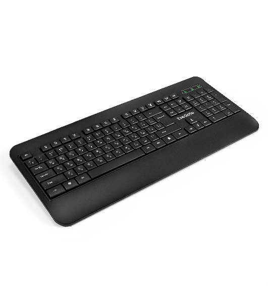 Клавиатура проводная ExeGate Professional Standard LY-E5500M, USB, черный